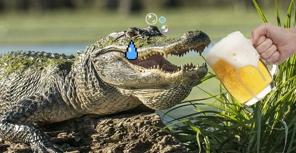 mơ thấy cá sấu uống bia
